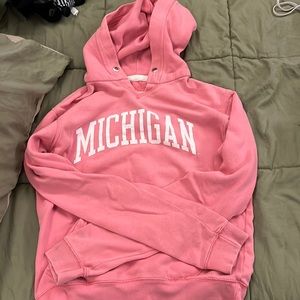 Pink Michigan Sweatshirt